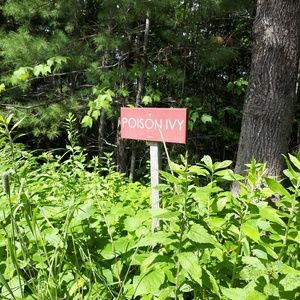 Meet your Posher, Holly